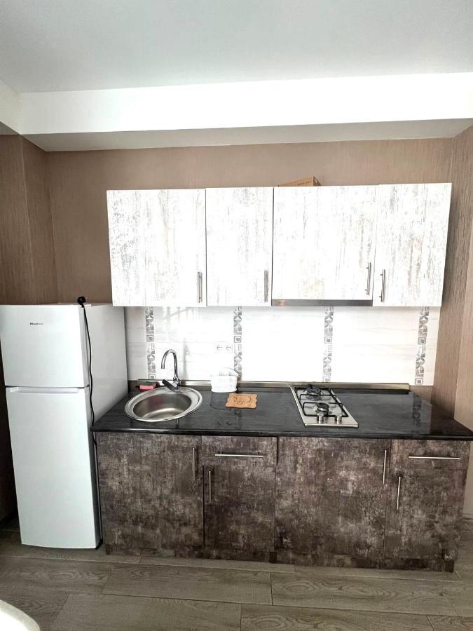 - Didveli Residence Lux Apartments - 바쿠리아니 외부 사진
