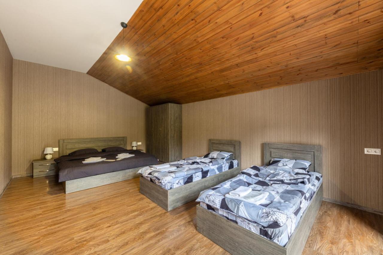 - Didveli Residence Lux Apartments - 바쿠리아니 외부 사진