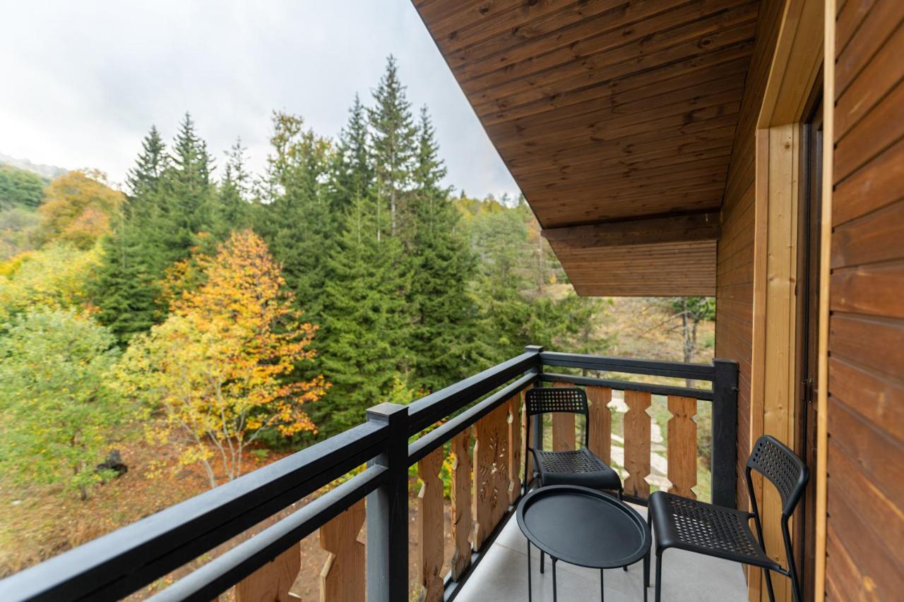 - Didveli Residence Lux Apartments - 바쿠리아니 외부 사진