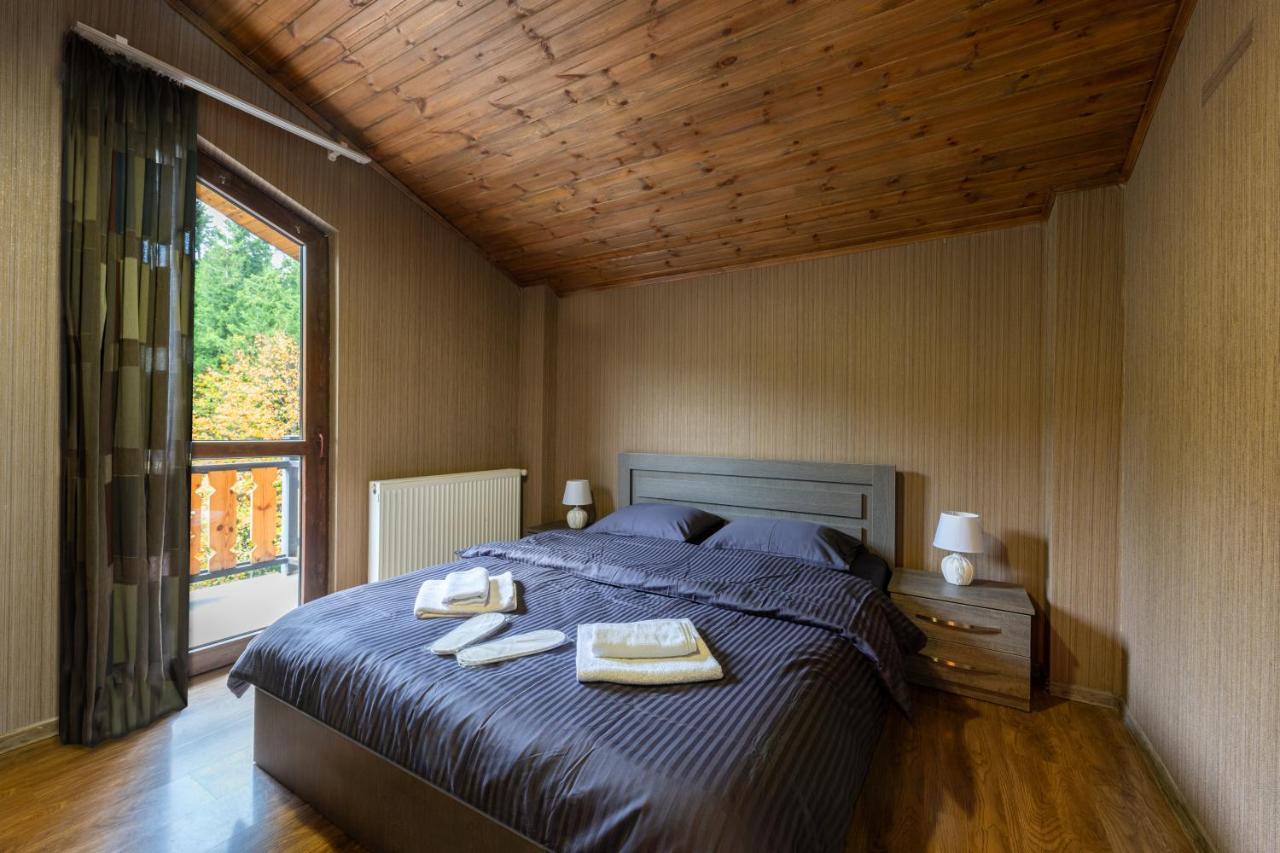 - Didveli Residence Lux Apartments - 바쿠리아니 외부 사진